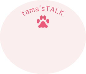 DOG's TALK