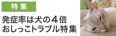 おしっこトラブル特集