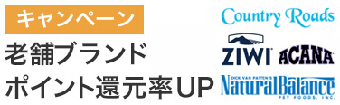 ポイント10%キャンペーン