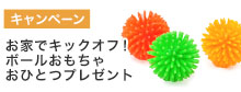 オモチャプレゼント
