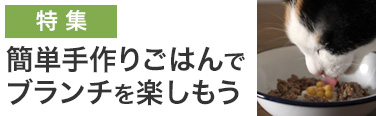 簡単手作りごはんでブランチを楽しもう