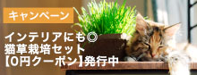 猫草