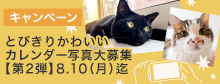カレンダー