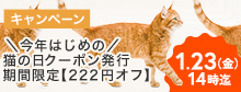 猫の日