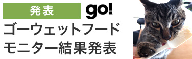 ゴーモニター結果発表