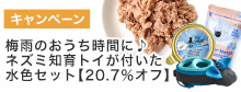 水色セット