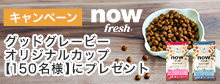 ゴー新サイズ