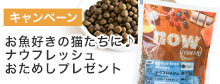 ナウお試し