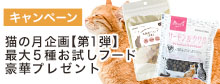 猫の月プレゼント