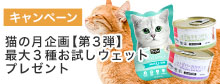 猫の月プレゼント