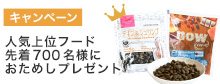 お試しプレゼント