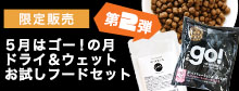 ゴーセット