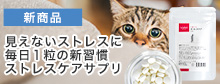 ストレスケア