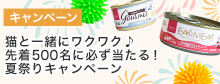 夏祭り