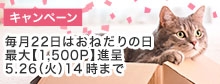 tamaにおねだりの日