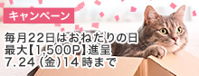 tamaにおねだり