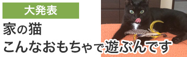 好きなオモチャ大発表