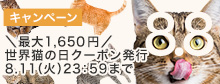 クーポン