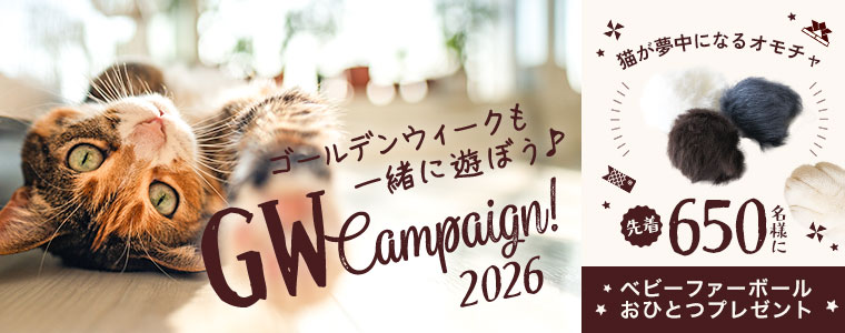 ボールプレゼント