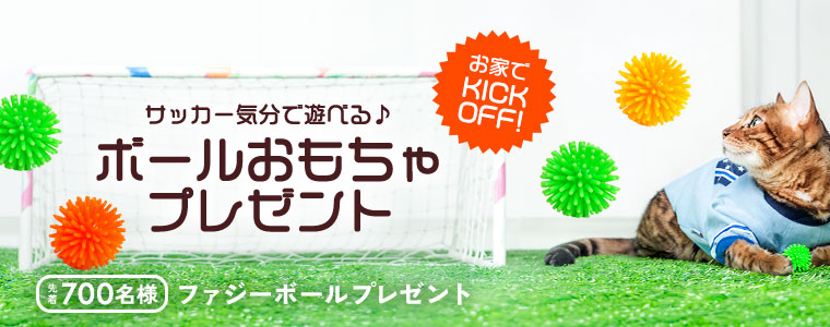 オモチャプレゼント
