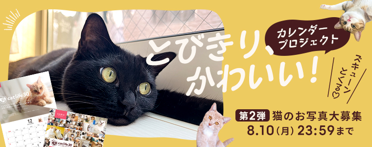 カレンダー