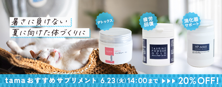 サプリ特別価格