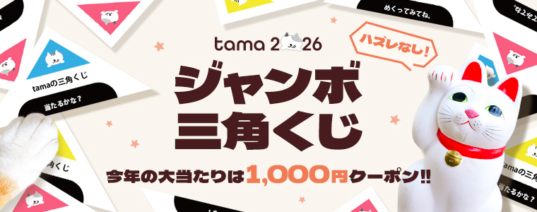 くじ