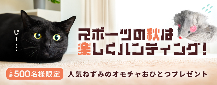 マウスプレゼント