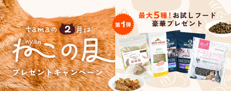 猫の月プレゼント