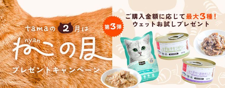 猫の月プレゼント