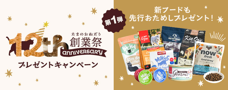 お試しプレゼント