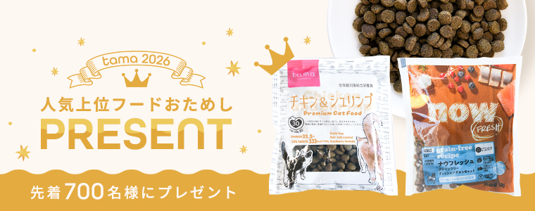 お試しプレゼント
