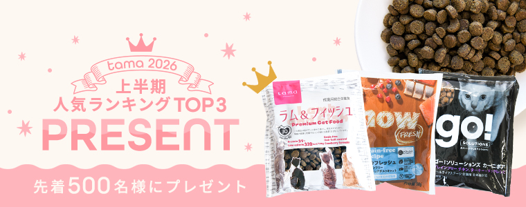 お試しプレゼント