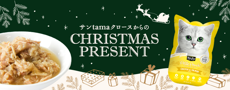 クリスマスプレゼント