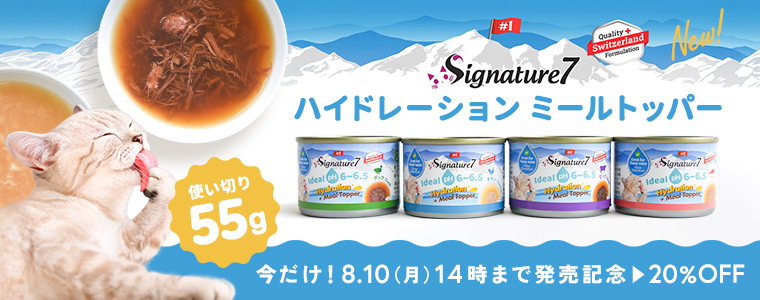 シグネチャ
