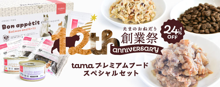 スペシャルセット