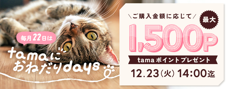 たまにおねだり