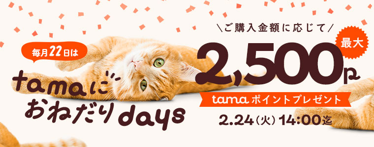 ポイントプレゼント