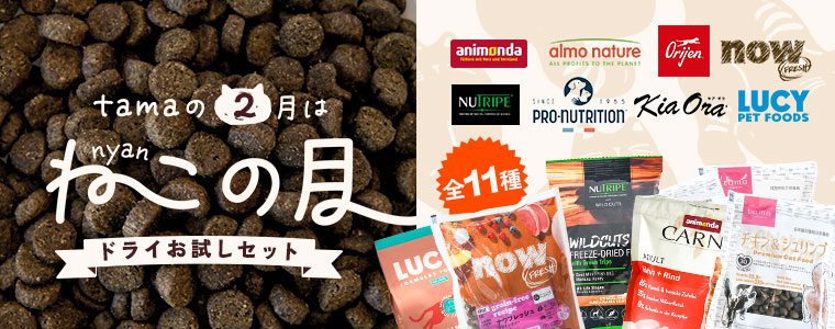 お試しフードセット