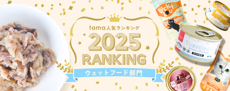 ウェットランキング