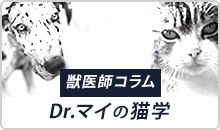 獣医師コラム