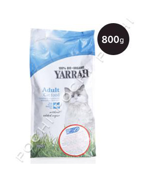 ヤラー キャットフィッシュ