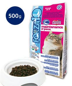 フォルツァ10　CAT レギュラーメンテナンスフィッシュ