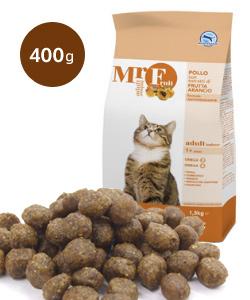 フォルツァ10　ミスターフルーツ　アダルトインドア