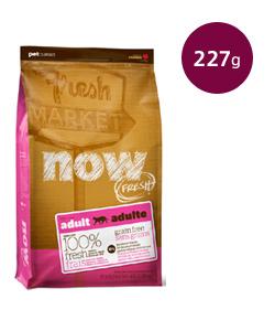 ナウ キャットアダルト