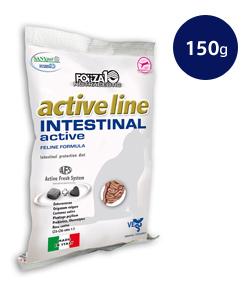 フォルツァ10　インテスティナル