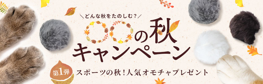 【限定販売】〇〇の秋キャンペーン《第?弾》お試しフード付き特別セット