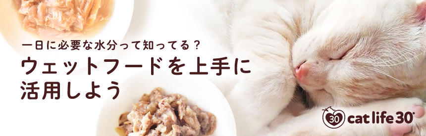 【cat life 30®特集】思いのほか多くてビックリ！？一日に必要な水分量って知ってる？
