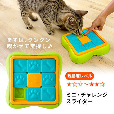 難易度レベル:★☆☆~★★☆|ニーナ オットソン【数量限定品】ミニ・チャレンジスライダー