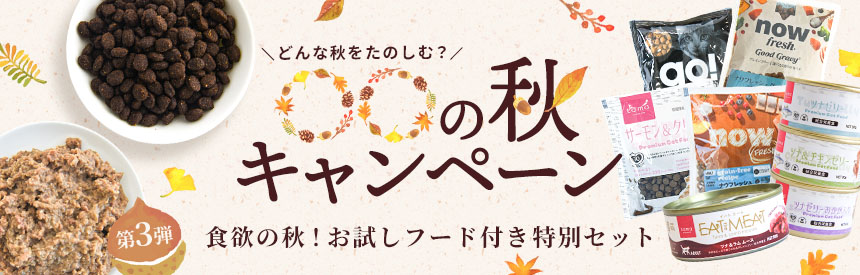 【限定販売】〇〇の秋キャンペーン《第③弾》お試しフード付き特別セット